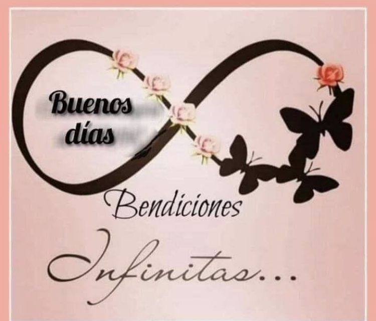 Qué hay en nuestro interior?